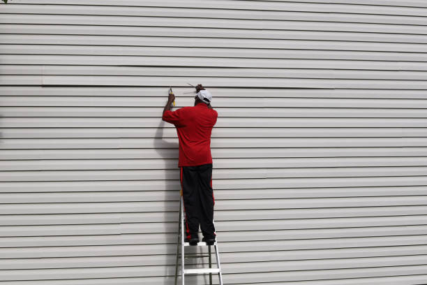 Best Construction Debris Removal  in Niles, MI